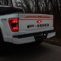 Picture of Putco 21-23 Ford F150 (w/OE LED Taillights & No OBS/Tow Tech/Access) Excalibur LED Third Taillight