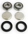 Picture of EPI 85-20 Honda TRX250-500 /06-15 Arctic Cat 250-300 Swing Arm Repair Kit