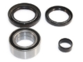 Picture of EPI 07-14 Honda TRX420 Front Wheel Bearing Kit