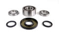 Picture of EPI 11-20 325-1000 Ace/Ranger/General/RZR Front Differential Bearing and Seal Kit