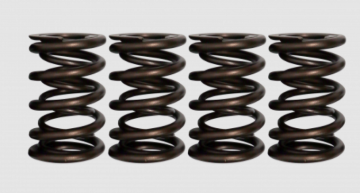 Picture of Ferrea 99-00 Suzuki GSX1300R 18.82mm/25.19mm OD 13.84mm/18.82mm ID Dual Valve Springs - Set of 16