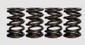 Picture of Ferrea 84-98 Harley-Davidson Evolution 1.005/1.440in OD .725/1.065in ID Dual Valve Springs-Set of 4
