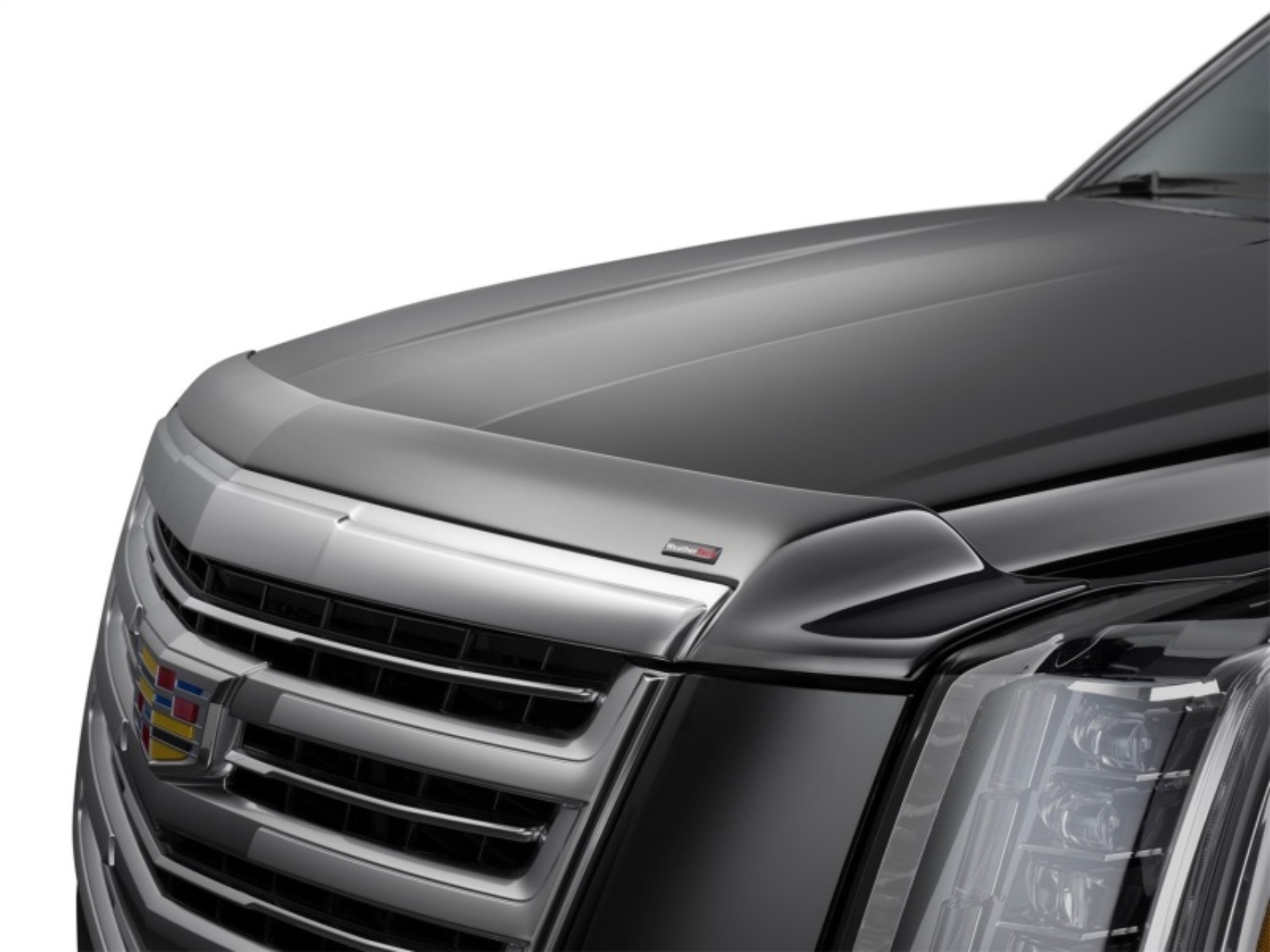 Picture of WeatherTech 24-25 Ford Ranger Supercrew Hood Skin Protector - Black
