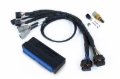 Picture of Haltech NEXUS S3 Plug-n-Play Adapter Harness