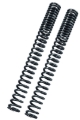 Picture of Bitubo MFORK Fork Springs Kit Progressive(K=0.7-1.1) + 1 Lt. Oil
