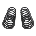 Picture of ARB OME Prado 250 Coil Spring - Rear