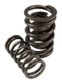 Picture of DUAL SPRING W/ DAMPER, 1.560 OD, 1.900 IH, .740 LIFT, 400 LBS/IN, HR
