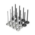 Picture of Skunk2 Honda K20C1 Alpha Series Intake & Exhaust Valve Set (Standard Compression)