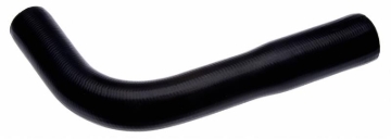 Picture of Gates 72-79 Jeep CJ Series V-8 304 Lower Molded Coolant Hose