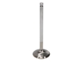 Picture of Race  SBC Ex. Vlv Kit - 1.500 in. Head Dia., 5.035 in. O/A , 0.3415 in. Stem