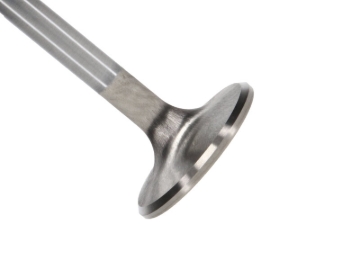 Picture of Race Vlkswgn 1.2L Type I Ex. Vlv Kit - 37.50mm Dia.,4.405 in. O/A ,.3130 in. Stm