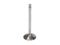 Picture of Severe Dty. Ford 427 Int. Vlv Kit - 2.190 in. Dia.,5.446 in. O/A ,.3715 in. Stem