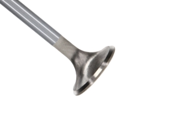 Picture of Manley Performance MAN Race Master Valves - 12630-8