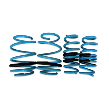Picture of BLOX Racing BX Lowering Springs - BXSS-01011