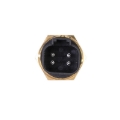 Picture of SPAL SPL Temperature Sensors Fan Switches - SBL-TSI-165P-PKG