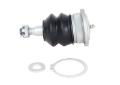 Picture of Whiteline WL Ball Joints - KSK181