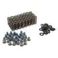 Picture of VALVE SPRING KIT, FORD POWER S TROKE 6.0/6.4