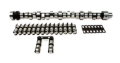Picture of CAM & LIFTER KIT, P 308R-10