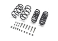 Picture of Ford Racing FR Spring Kits Lowering Springs - M-5300-MV