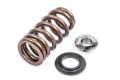 Picture of APR Springs Valve Springs, Retainers - MS100258