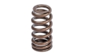 Picture of APR Springs Valve Springs, Retainers - MS100258