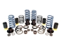 Picture of Dinan DNN Coilovers - D190-1011