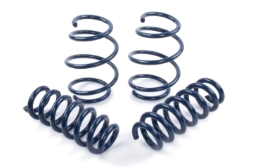 Picture of Dinan DNN Coil Springs Coilover Springs - D100-0934