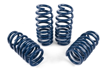 Picture of Dinan DNN Coil Springs Coilover Springs - D100-0936