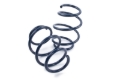 Picture of Dinan DNN Coil Springs Coilover Springs - D100-0934
