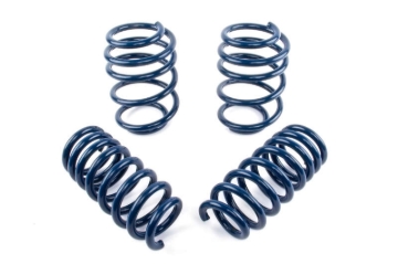 Picture of Dinan DNN Coil Springs Coilover Springs - D100-0935