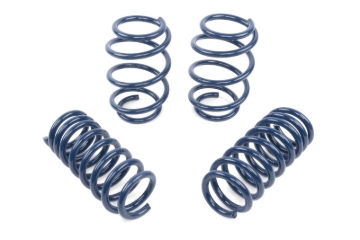 Picture of Dinan DNN Coil Springs Coilover Springs - D100-0942