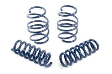 Picture of Dinan DNN Coil Springs Coilover Springs - D100-0939