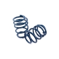 Picture of Dinan DNN Coil Springs Coilover Springs - D100-0935