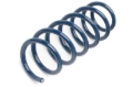 Picture of Dinan DNN Coil Springs Coilover Springs - D100-0933