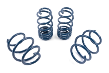 Picture of Dinan DNN Coil Springs Coilover Springs - D100-0937