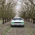 Picture of ORACLE Lighting ORL Headlight Halo Kits - 2238-004