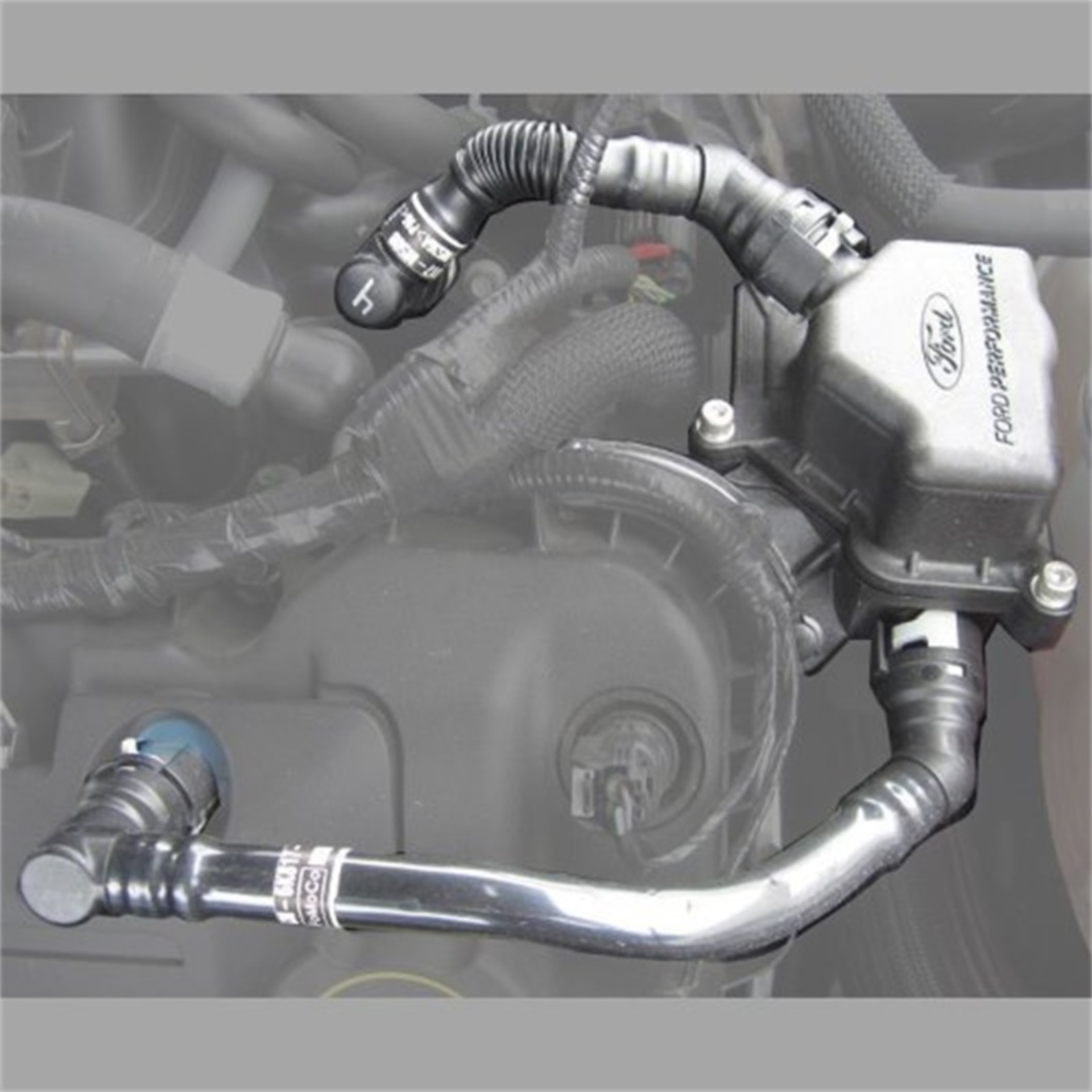 Picture of Ford Racing FR Air Oil Seperators Oil Separators - M-6766-A50A