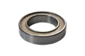 Picture of ACT Pilot Bearing - PB1010