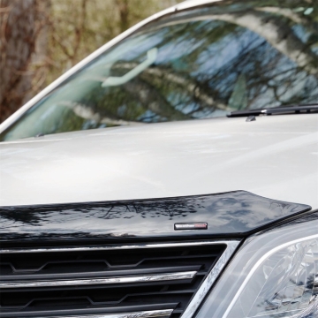 Picture of WeatherTech WT Hood Protector Stone/Bug Deflectors - 55249
