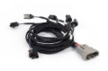 Picture of Haltech HAL NEXUS Rebel LS Wire-In Harnesses Wiring Harnesses - HT-186503