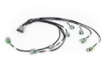 Picture of Haltech HAL NEXUS Rebel LS Wire-In Harnesses Wiring Harnesses - HT-186502