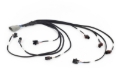 Picture of Haltech HAL NEXUS Rebel LS Wire-In Harnesses Wiring Harnesses - HT-186503