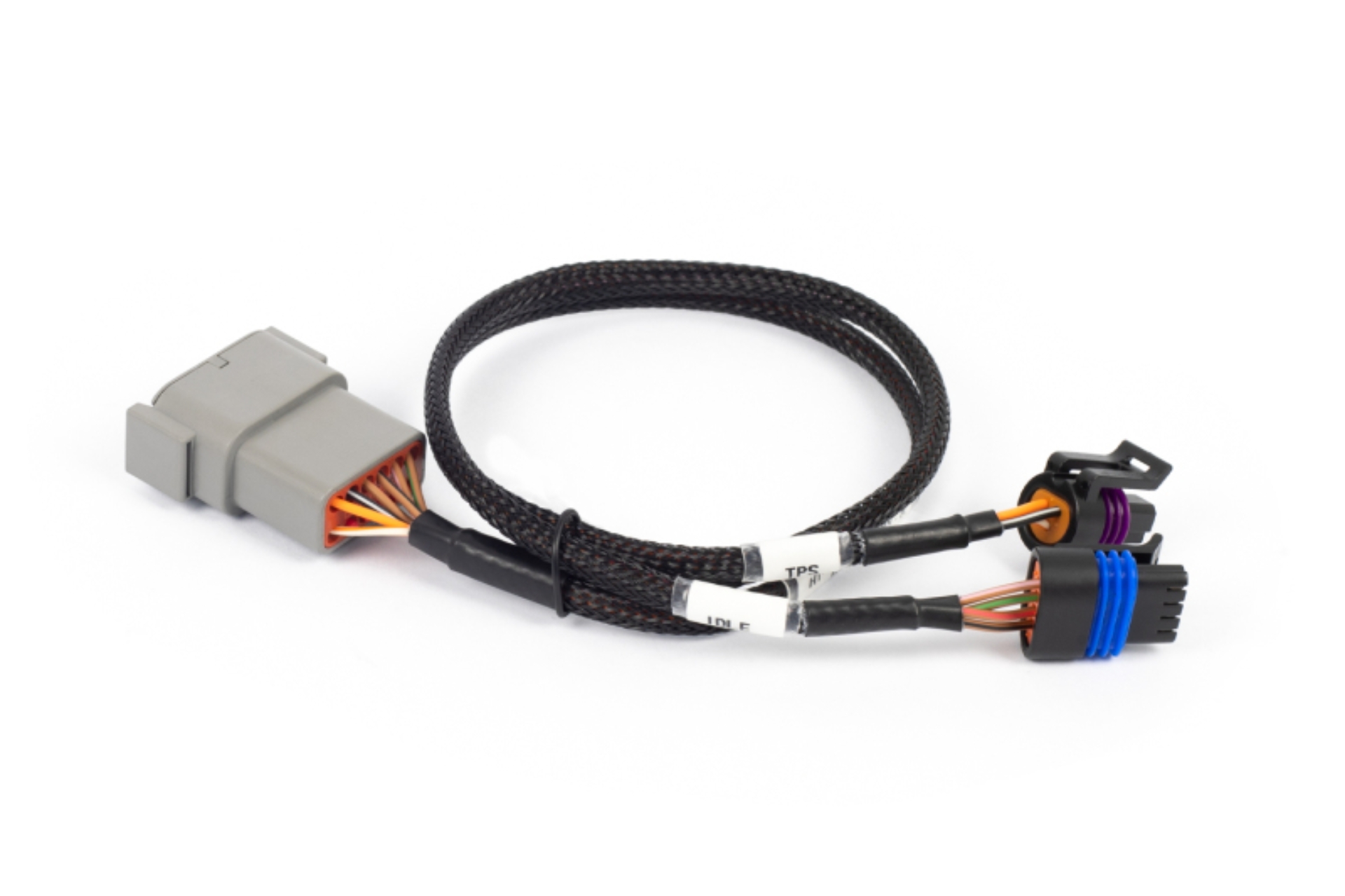 Picture of Haltech HAL NEXUS Rebel LS Wire-In Harnesses Wiring Harnesses - HT-186504