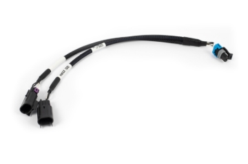 Picture of Haltech HAL NEXUS Rebel LS Adaptors Wiring Connectors - HT-186508