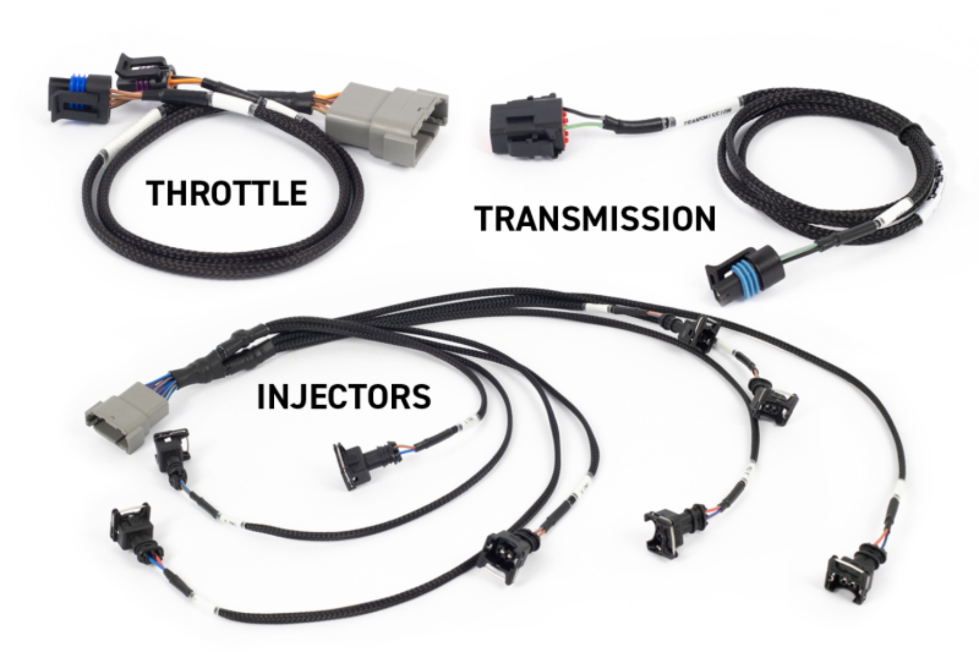 Picture of Haltech HAL NEXUS Rebel LS ECU Programmers & Tuners - HT-220201
