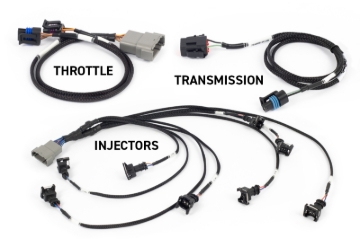 Picture of Haltech HAL NEXUS Rebel LS ECU Programmers & Tuners - HT-220201