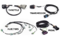 Picture of Haltech HAL NEXUS Rebel LS ECU Programmers & Tuners - HT-220204