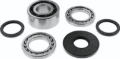 Picture of QuadBoss QBS Bearings - 412645