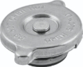 Picture of QuadBoss QBS Radiator Caps - 403163
