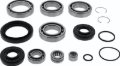 Picture of QuadBoss QBS Bearings - 412644